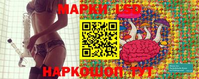 apvp Заводоуковск