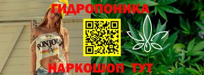 apvp Заводоуковск