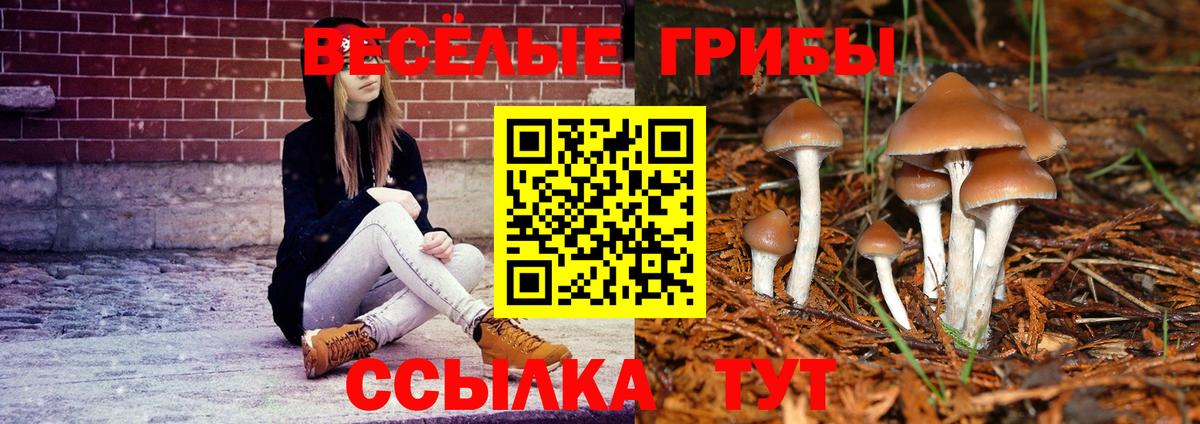 Севастополь  Псилоцибиновые грибы MAGIC MUSHROOMS  Галлюциногенные грибы MAGIC MUSHROOMS  Вход с VPN 